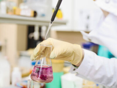 formulaciones-especificas formulaciones-especificas