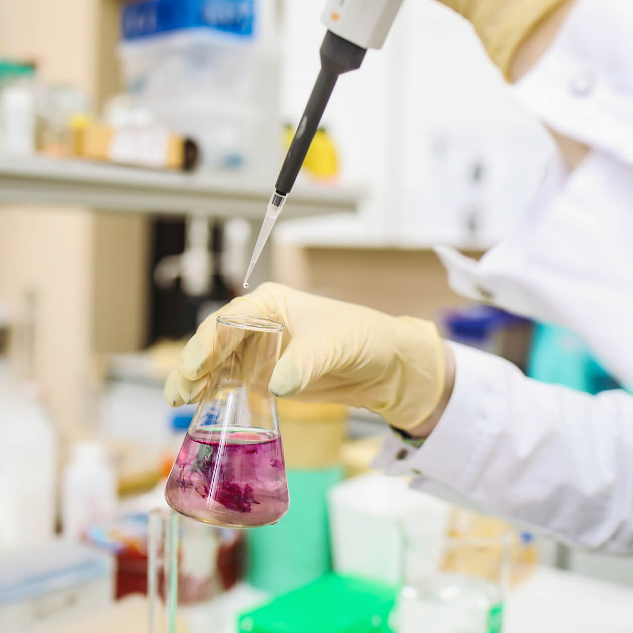 formulaciones-especificas